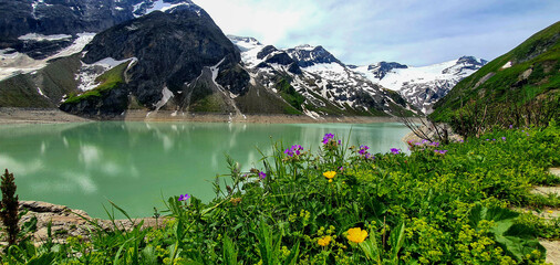 Green dam lake between snowy mountains and flower field in Kaprun, June 27, 2021