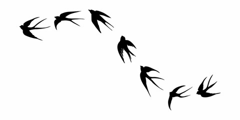 black silhouette or illustration of a swallow
