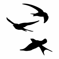 black silhouette or illustration of a swallow