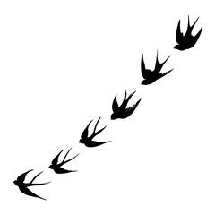 black silhouette or illustration of a swallow