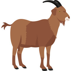 Goat Illustration Vector