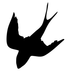 black silhouette or illustration of a swallow