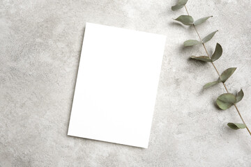 Blank invitation or greeting card mockup with eucalyptus twig, card mock up with copy space