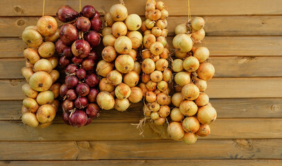 harvest of ripe onions plaited in pigtails to dry further, storage for winter. Bundles of red and...