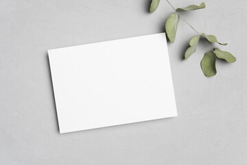 Blank invitation or greeting card mockup with botanical decor on grey, card with copy space