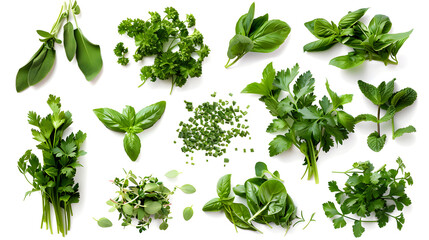 Fototapeta premium Assorted green organic herbs on white background. Healthy eating concept.