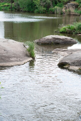 river in the forest and river rapids outdoors