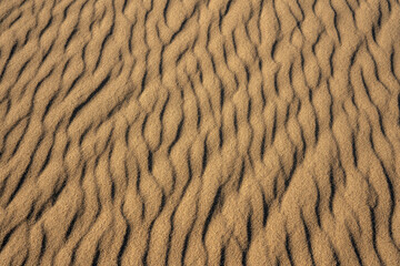 Patterns of ripples on sand dunes
