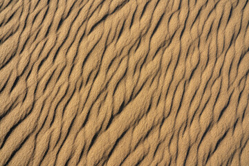 Patterns of ripples on sand dunes