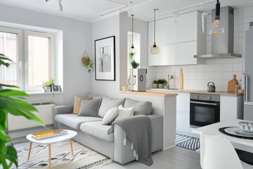 Compact Elegance: Scandinavian Interior Studio Apartment with White and Grey Decor Living and Kitchen Small Space
