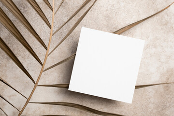 Blank square invitation or flyer card mockup, white paper card mock up with palm tree leaf decor