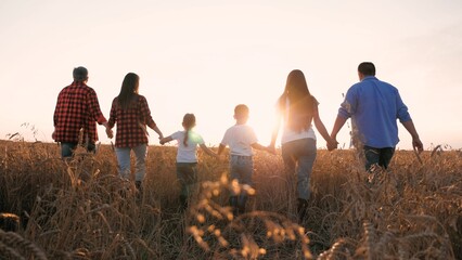 Family friends going at sunset wheat field holding hands together back view. Group of people...