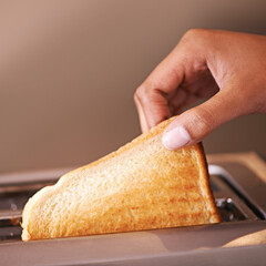 Woman, hand and food in toaster for breakfast in morning for healthy organic, wheat or toast bread...