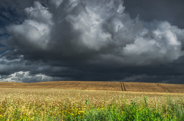 Chmury © Robert