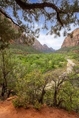 View of Zion Canyon and the Virgin River from the Kayenta Trail in Utah, USA on 26 April 2024