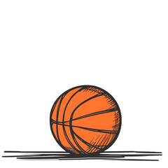 basketball ball  is drawn in one line art, vector illustration, isolated, logo