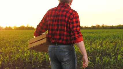 Man farmer agronomist carrying crate with vegetable harvest at sunset field closeup slowmo. Male...