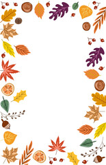 Frame of various types of dry leaves in autumn on white