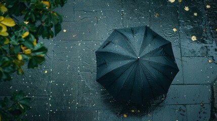 Bird's-eye view of a black umbrella navigating a wet walkway, raindrops visible on the surface, highlighting the beauty of rain.