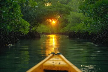 Mangrove Forest Boat Tour A boat tour through a lush mangrove forest, showcasing the importance of coastal ecosystems