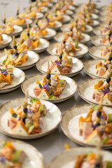 Elegant catering appetizers on plates