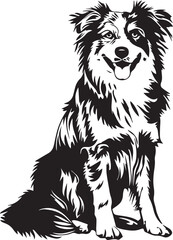 illustration of an Australian Shepherd dog