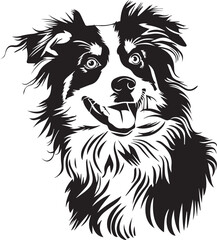 illustration of an Australian Shepherd dog