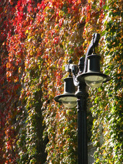 Old iron lamps with bulbs with modern technology
