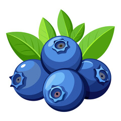 blueberries with leaves