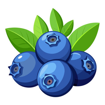 blueberries with leaves