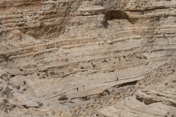 Hikers in Ein Avdat Canyon, Israel