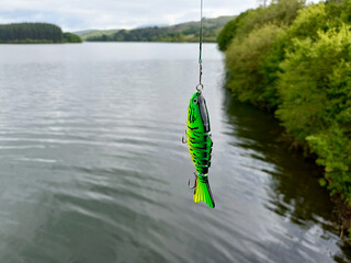plastic green fish, against the backdrop of a pond. bait for catching predatory fish