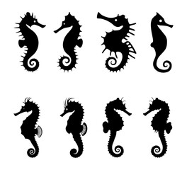 set of seahorse silhouettes, isolated background