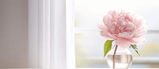 A vintage toned image of a pink peony flower in a vase against a white background of a cozy home providing copy space for your text