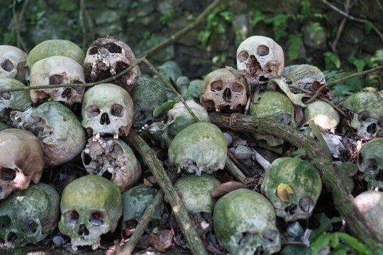 People who died in Trunyan Village, Kintamani, Bali were only placed under the Taru Menyan tree. This tree is able to eliminate the smell of corpses.             