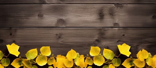 Aspen leaves on the background of old wood. copy space available