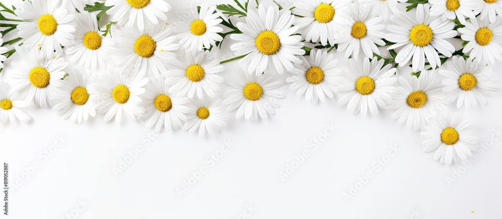Poster White background with chamomile flowers and copy space Flat lay top view copy space Spring summer concept