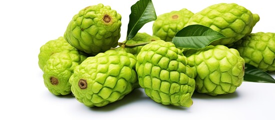 Obraz premium Noni fruits on white isolated background. copy space available