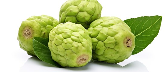 Fototapeta premium Noni fruits on white isolated background. copy space available