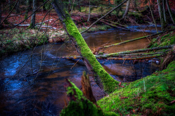 Rzeka © Robert