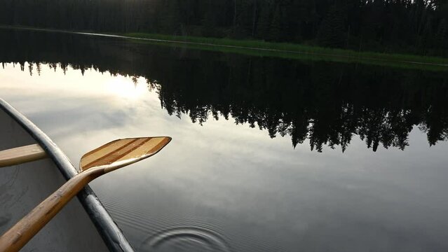View from a canoe of a wet wooden paddle that has water droplets slowly dripping from it and landing in the calm river. Trees are reflected in the quiet water.
