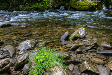 Mannis Branch Falls Across The Little River, Great Smoky Mountains National Park, Tennessee, USA