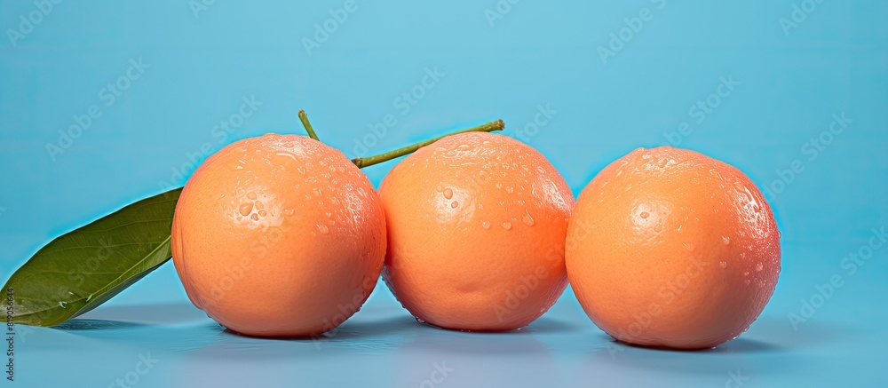Poster Isolated Tangerines Put Diagonally on a Pink and Blue Background With Copy Space on Each Side