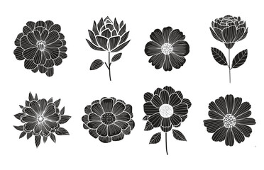 Vector black silhouettes of flowers isolated on a white background.