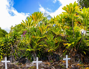 Historic Cemetery at Saint Benedict Roman Catholic Church, Captain Cook, Hawaii Island, Hawaii, USA