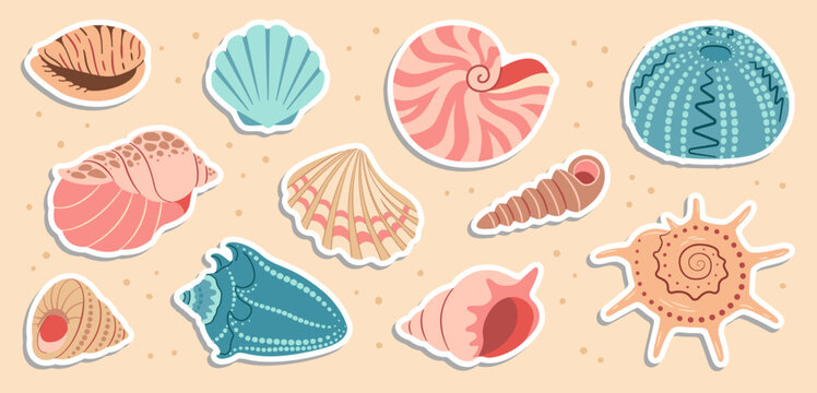 Cute sea shells sticker set. Trendy flat style seashell collection. Ocean underwater sink seashell conch aquatic mollusk. Hand drawn spiral snail, marine animals. Vector illustration