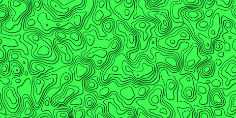 Sophisticated Vector Design of a Topographic Map Incorporating Detailed Topography and Complex Topological Patterns, Perfect for Modern Cartography, Geographic Research, and Digital Media Projects