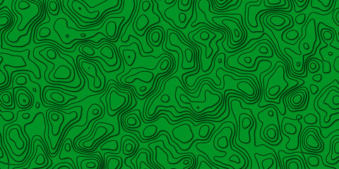 Sophisticated Vector Design of a Topographic Map Incorporating Detailed Topography and Complex Topological Patterns, Perfect for Modern Cartography, Geographic Research, and Digital Media Projects