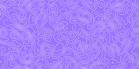 Fototapeta premium Elegant Vector Representation of a Topographic Map Showcasing Layered Topography and Detailed Topological Lines, Suitable for Geographic Analysis, Data Visualization, and Creative Design Applications