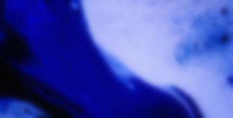 A Vivid Tapestry of Colors and Abstract Forms